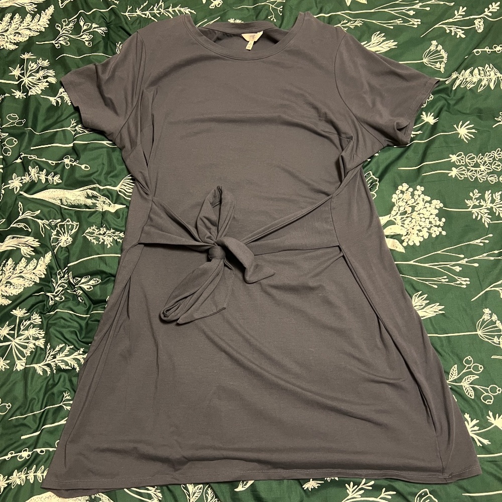 Terra & Sky 2X Blue Gray Short Sleeve Tie Mid Length Dress Never Worn
